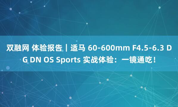 双融网 体验报告｜适马 60-600mm F4.5-6.3 DG DN OS Sports 实战体验：一镜通吃！