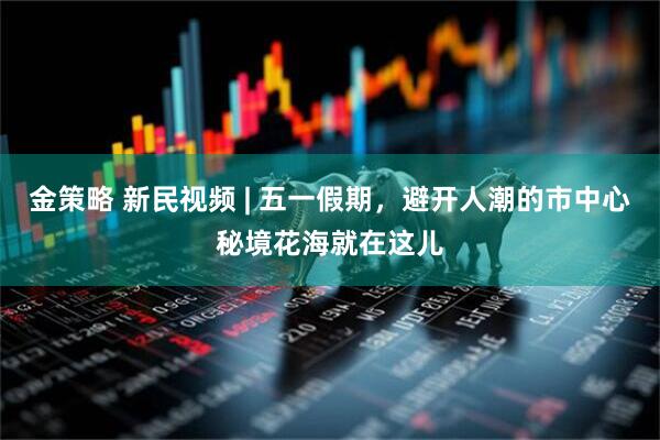 金策略 新民视频 | 五一假期，避开人潮的市中心秘境花海就在这儿